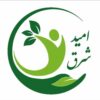 کاردرمانی و گفتاردرمانی اميد شرق