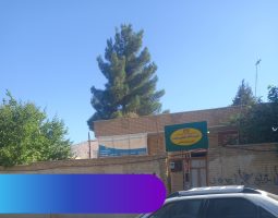 نصرت اله خلیلی مقدم