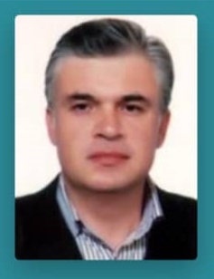 حمید حمیدی زاده